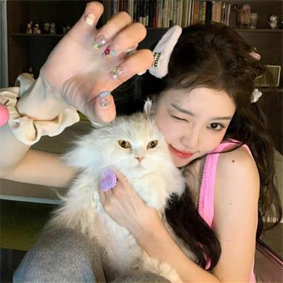 喜羊羊与灰太狼之羊羊趣冒险2